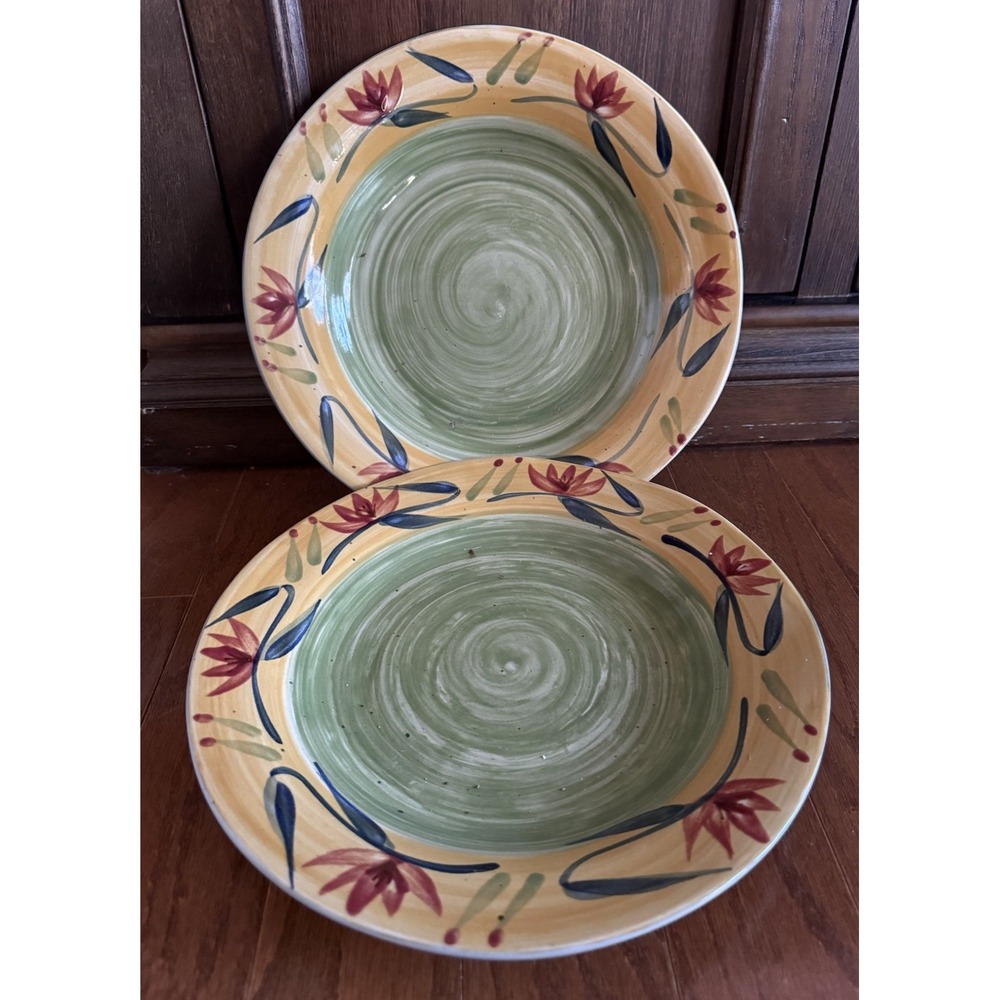 Set of 2 Pier 1 One Elizabeth Hand Painted Floral Stoneware Dinner Plates 11 5/8